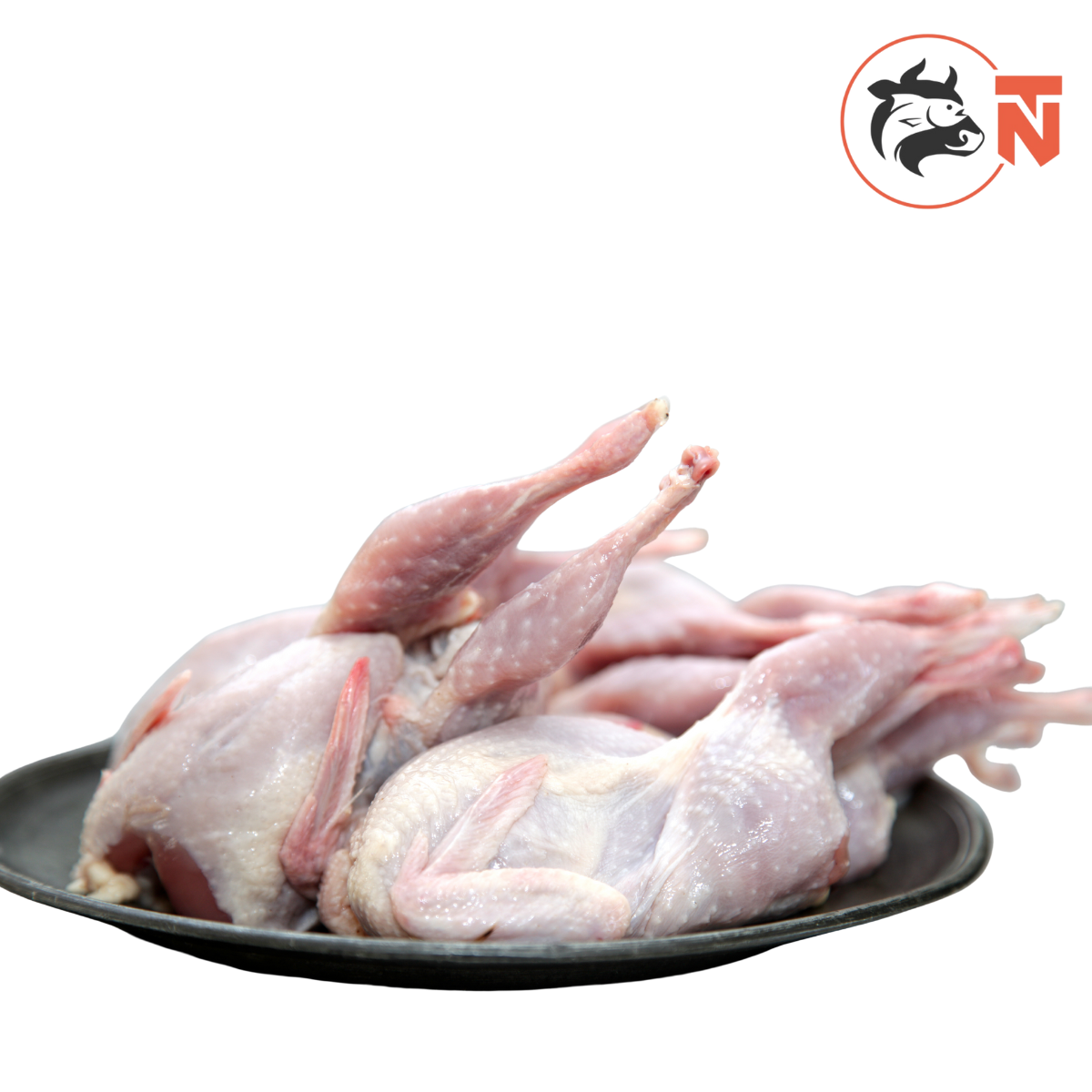 thaninadan - 2025-07-09T194104.209