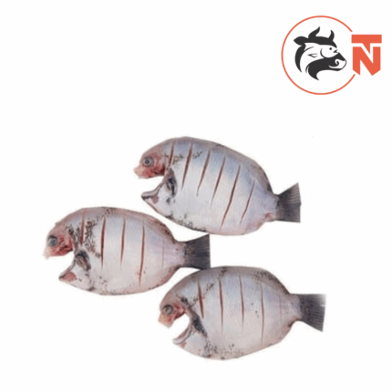 PEARLSPOT (Karimeen) Clean Curry Cut